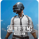 PUBG台服 - 冰河游戏安卓游戏下载（大小：1.3 GB）