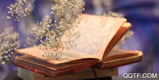 免费小说电子书阅读App