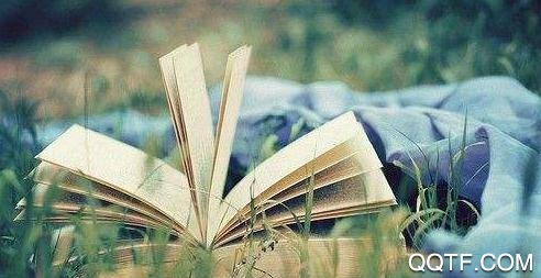 免费小说电子书阅读App