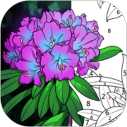 乐涂数字填色 1.8 - 冰河游戏系统工具下载（大小：73.03MB）