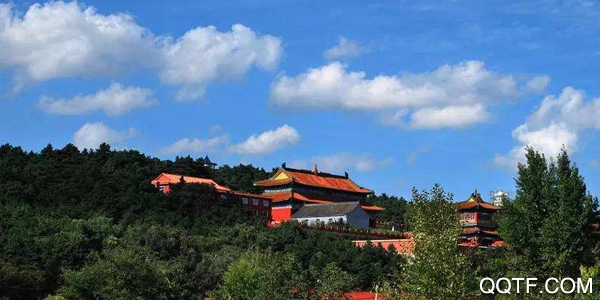 双阳融媒手机版