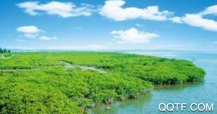 和谐辛店手机客户端