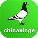 中国信鸽信息网app - 玄熵冰河游戏社交聊天下载（大小：152.71 MB）