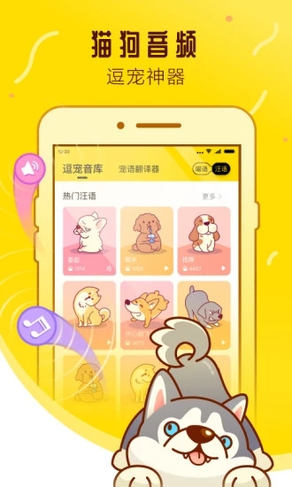宠物邦