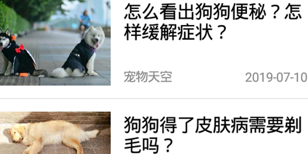 火猫宠社