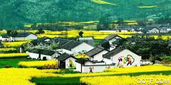 四川乡村客户端 四川乡村客户端