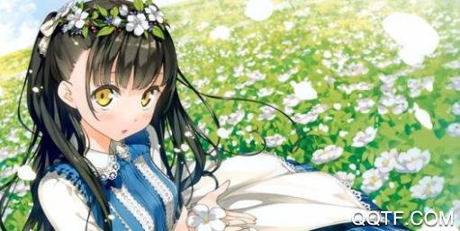 轻の小说软件官方版 轻の小说软件官方版