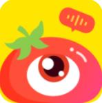 番茄派对app最新版 - 玄熵冰河游戏社交聊天下载（大小：72.7M）