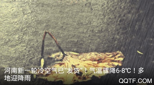 云上河南手机最新版