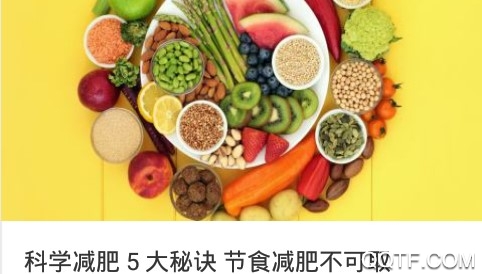 轻报手机客户端