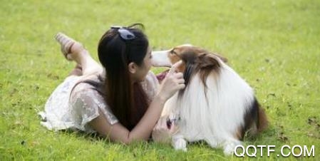 团纸日记app手机版 团纸日记app手机版