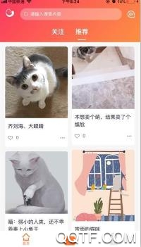 团纸日记app手机版 团纸日记app手机版
