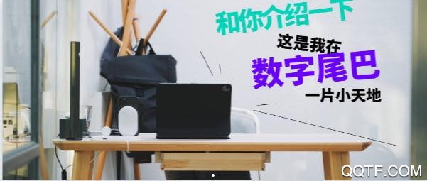 数字尾巴app安卓版 数字尾巴app安卓版