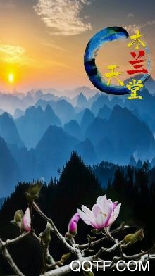 回归西畴客户端 回归西畴客户端