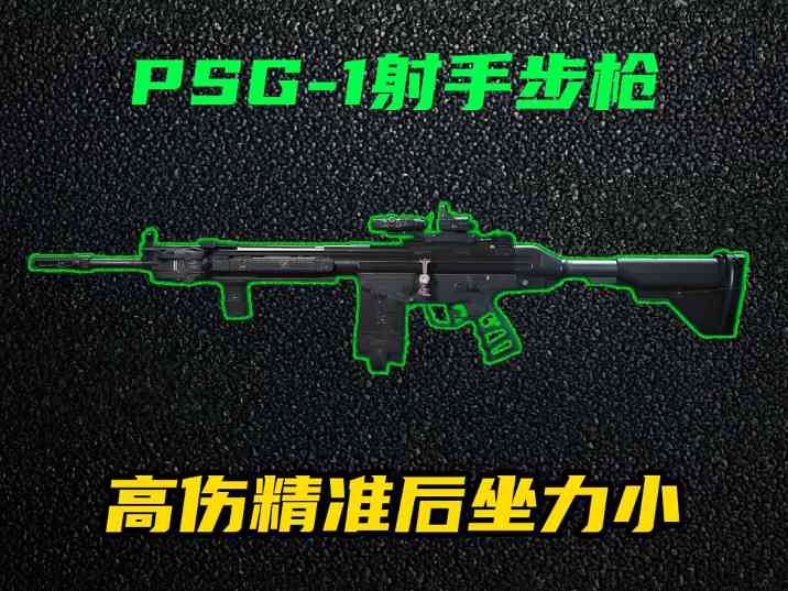 三角洲行动【全面战场】PSG-1高伤高精 - 冰河游戏游戏攻略配图