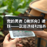 我的勇者【萌新向】魂珠——武器选择和培养(图4) 我的勇者【萌新向】魂珠——武器选择和培养(图4)