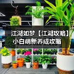 江湖如梦【江湖攻略】小白萌新养成攻略(图4) 江湖如梦【江湖攻略】小白萌新养成攻略(图4)