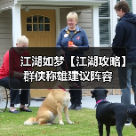 江湖如梦【江湖攻略】群侠称雄建议阵容(图4) 江湖如梦【江湖攻略】群侠称雄建议阵容(图4)