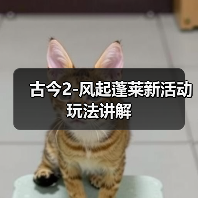 古今2-风起蓬莱新活动玩法讲解(图3) 古今2-风起蓬莱新活动玩法讲解(图3)