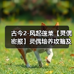 古今2-风起蓬莱【灵偶密报】灵偶培养攻略及参考(图1) 古今2-风起蓬莱【灵偶密报】灵偶培养攻略及参考(图1)