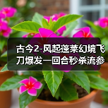 古今2-风起蓬莱幻境飞刀爆发一回合秒杀流参考攻略（图2）