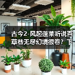 古今2-风起蓬莱听说百草巷无尽幻境很卷？下周我来试一试（图3）