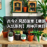 古今2-风起蓬莱【萌新入坑系列】月神开荒日记之 遇仙典 Day2（图1）