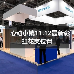 心动小镇11.12最新彩虹花束位置
