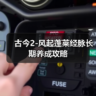 古今2-风起蓬莱经脉长期养成攻略（图2）