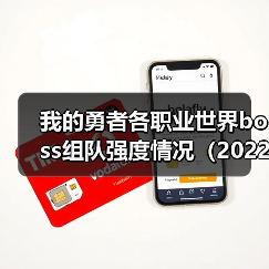 我的勇者各职业世界boss组队强度情况(2022年1月-3月)(图3) 我的勇者各职业世界boss组队强度情况(2022年1月-3月)(图3)