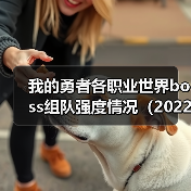 我的勇者各职业世界boss组队强度情况(2022年1月-3月)(图1) 我的勇者各职业世界boss组队强度情况(2022年1月-3月)(图1)