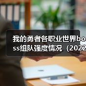 我的勇者各职业世界boss组队强度情况(2022年1月-3月)(图4) 我的勇者各职业世界boss组队强度情况(2022年1月-3月)(图4)