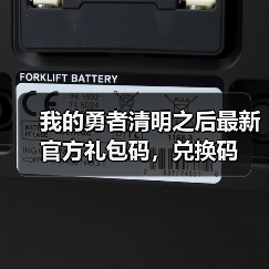 我的勇者清明之后最新官方礼包码，兑换码（图3）