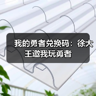 我的勇者兑换码：徐大王邀我玩勇者（图3）