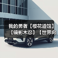 我的勇者【樱花道馆】【镜影木忍】【世界向】2024.6.16新版本搭配（图2）