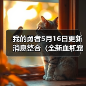 我的勇者5月16日更新消息整合(全新血瓶宠物假日海豚(图2) 我的勇者5月16日更新消息整合(全新血瓶宠物假日海豚(图2)