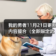 我的勇者11月21日更新内容整合（全新限定武器——英魂前瞻【主法师向】）（图1）