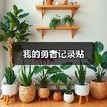我的勇者记录贴（图1）