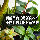 我的勇者【萌新向&新手向】关于暗金装备的获取与养成/洗练（含小部分符文内容）（图2）
