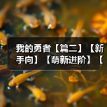 我的勇者【篇二】【新手向】【萌新进阶】【百科全书】所有商店兑换指南（图4）
