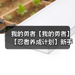 我的勇者【我的勇者】【忍者养成计划】新手向忍者攻略 天赋篇(图4) 我的勇者【我的勇者】【忍者养成计划】新手向忍者攻略 天赋篇(图4)