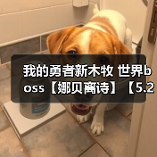 我的勇者新木牧 世界boss【娜贝离诗】【5.24】【辅助一次十粉钻】（图4）