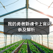 我的勇者新魂卡上官词条及解析（图4）