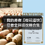 我的勇者【樱花道馆】忍者全环境攻略合集(图2) 我的勇者【樱花道馆】忍者全环境攻略合集(图2)