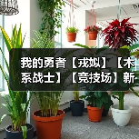 我的勇者【戎姒】【木系战士】【竞技场】新木战竞技场攻略1.25（图1）