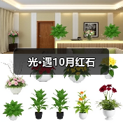 光·遇10月红石（图3）