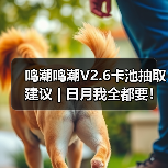 鸣潮鸣潮V2.6卡池抽取建议 | 日月我全都要！（图4）