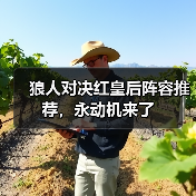 狼人对决红皇后阵容推荐,永动机来了(图1) 狼人对决红皇后阵容推荐,永动机来了(图1)