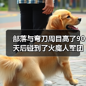 部落与弯刀周目高了90天后碰到了火魔人军团怎么办？（图1）