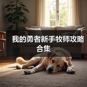 我的勇者新手牧师攻略合集（图1）